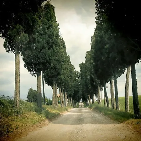 Podere Quercia Al Santo Apartment Lajatico