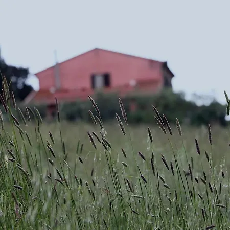 Podere Quercia Al Santo Apartment
