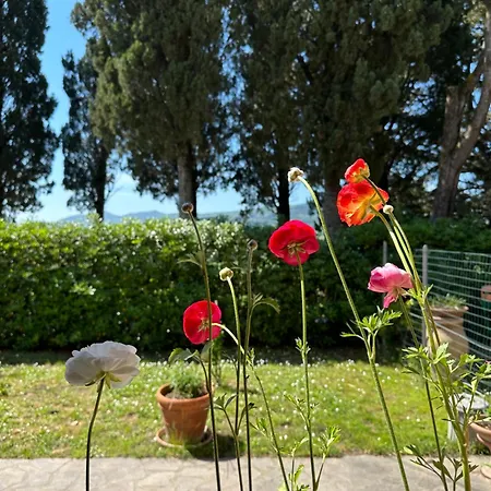 Podere Quercia Al Santo *