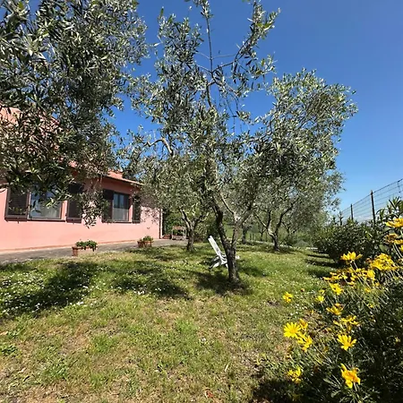 Apartamento Podere Quercia Al Santo *