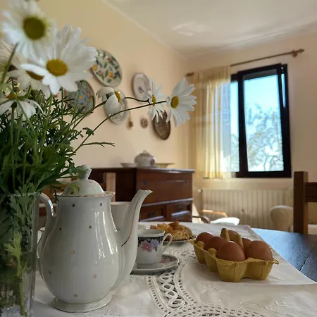 公寓 Podere Quercia Al Santo 拉亚蒂科