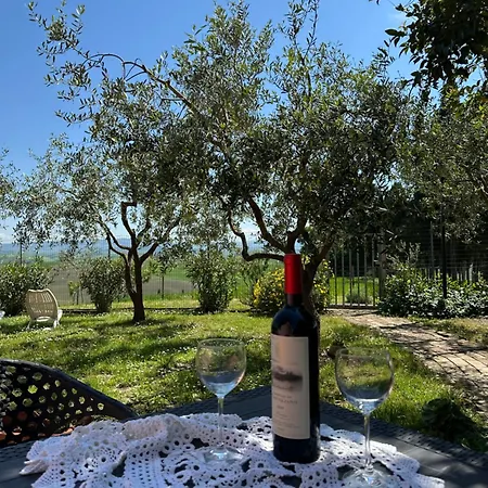 公寓 Podere Quercia Al Santo